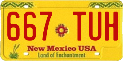 NM license plate 667TUH