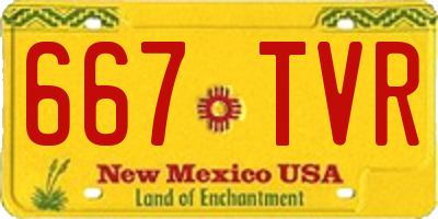 NM license plate 667TVR