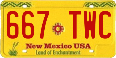 NM license plate 667TWC