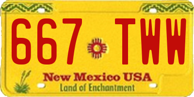 NM license plate 667TWW