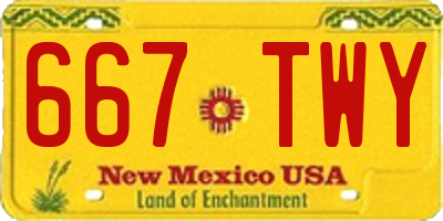 NM license plate 667TWY