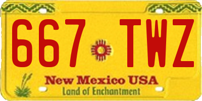 NM license plate 667TWZ