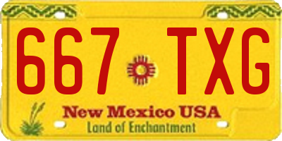 NM license plate 667TXG