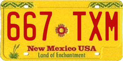 NM license plate 667TXM