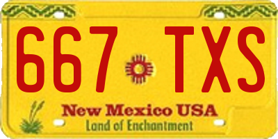 NM license plate 667TXS
