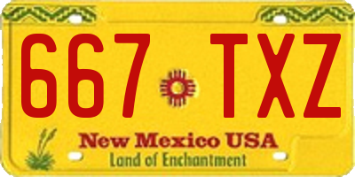 NM license plate 667TXZ