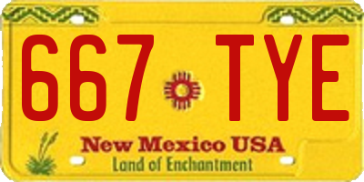 NM license plate 667TYE