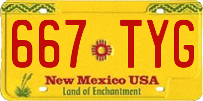 NM license plate 667TYG