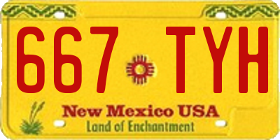 NM license plate 667TYH