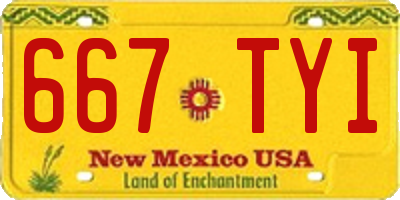 NM license plate 667TYI