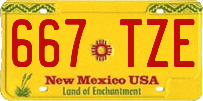 NM license plate 667TZE