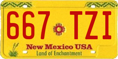 NM license plate 667TZI