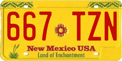 NM license plate 667TZN