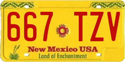 NM license plate 667TZV