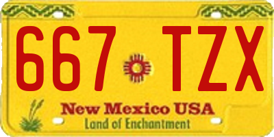 NM license plate 667TZX