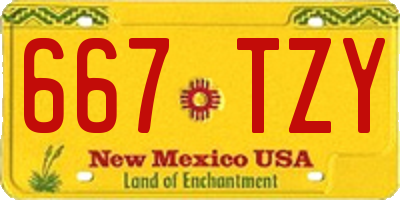 NM license plate 667TZY