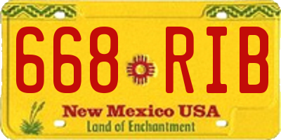 NM license plate 668RIB