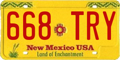 NM license plate 668TRY