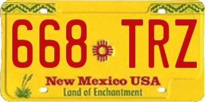 NM license plate 668TRZ