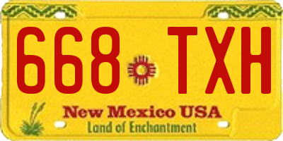 NM license plate 668TXH