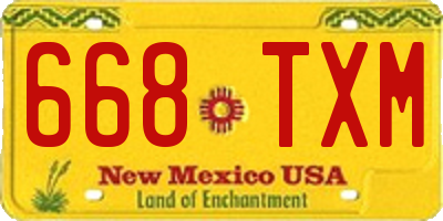 NM license plate 668TXM