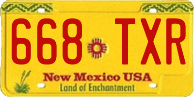 NM license plate 668TXR