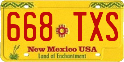 NM license plate 668TXS