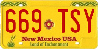 NM license plate 669TSY