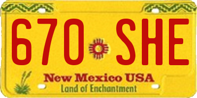 NM license plate 670SHE