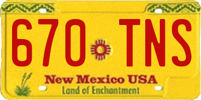 NM license plate 670TNS