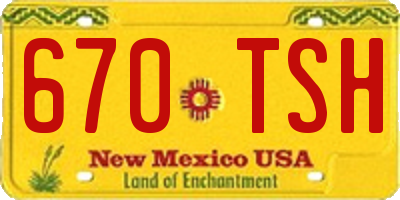 NM license plate 670TSH