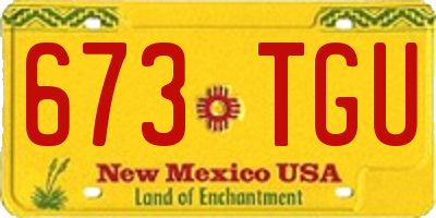 NM license plate 673TGU