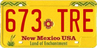 NM license plate 673TRE