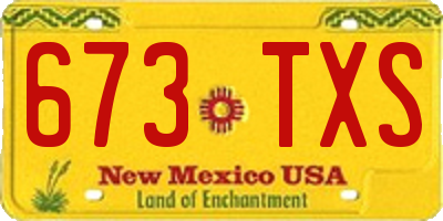 NM license plate 673TXS