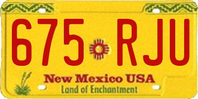 NM license plate 675RJU