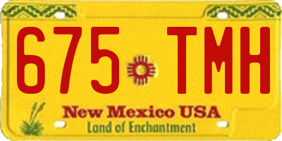 NM license plate 675TMH
