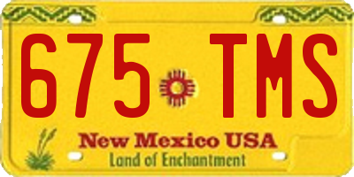 NM license plate 675TMS