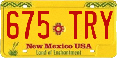 NM license plate 675TRY