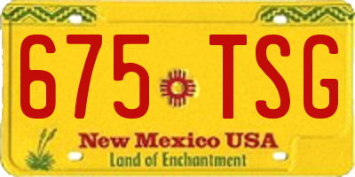 NM license plate 675TSG