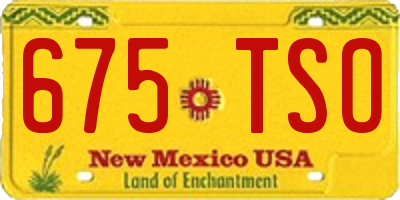 NM license plate 675TSO