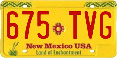 NM license plate 675TVG