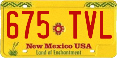 NM license plate 675TVL