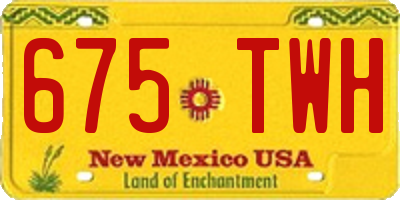 NM license plate 675TWH