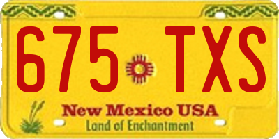 NM license plate 675TXS