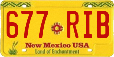 NM license plate 677RIB
