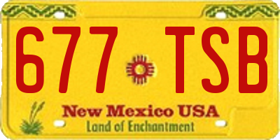 NM license plate 677TSB