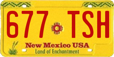 NM license plate 677TSH