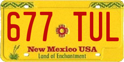 NM license plate 677TUL