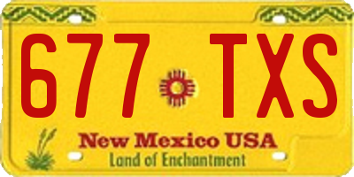 NM license plate 677TXS