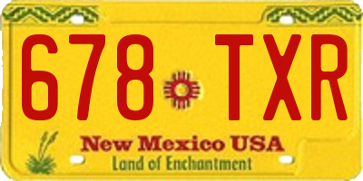 NM license plate 678TXR
